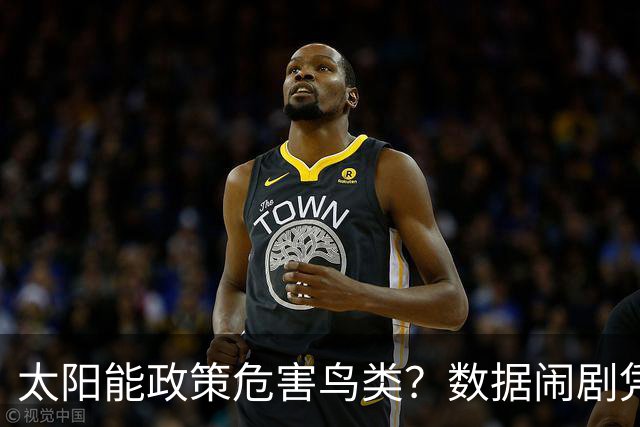太阳能政策危害鸟类？数据闹剧凭什么让人信服