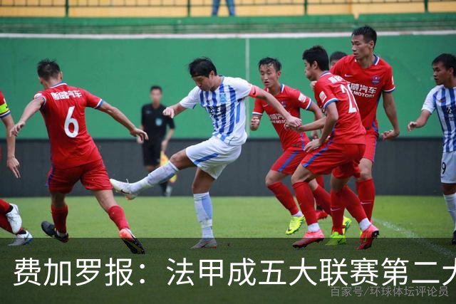 费加罗报：法甲成五大联赛第二大卖人市场，肖德尔剖析恶性循环